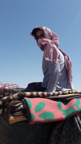 Desert, M'Hamid and Sahara, Morocco