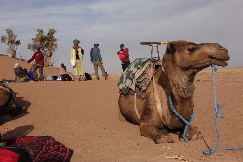 Sahara, Mhamid, Morocco